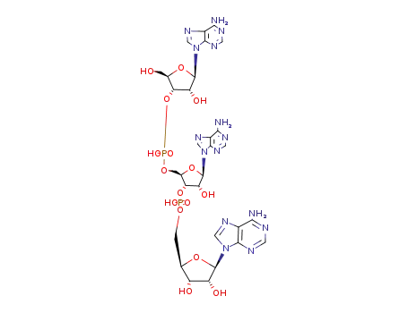 Adenosyl-<3'-5'>-adenosyl-<3'-5'>-adenosin