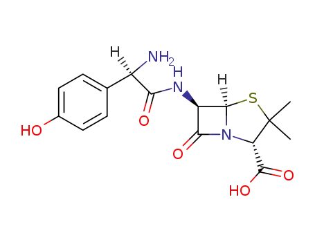 amoxicillin