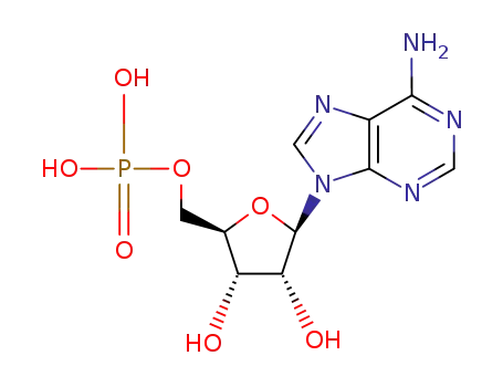 5'-adenosine monophosphate