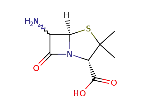 6-aminopenicillanic acid