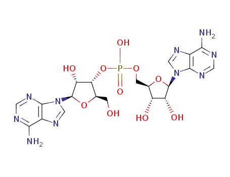 adenyl(3'-5')phophoadenine